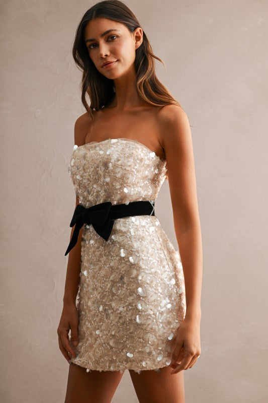 Champagne Wishes Cocktail Dress