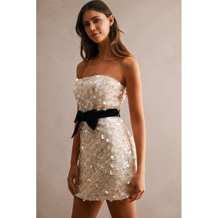 Champagne Wishes Cocktail Dress
