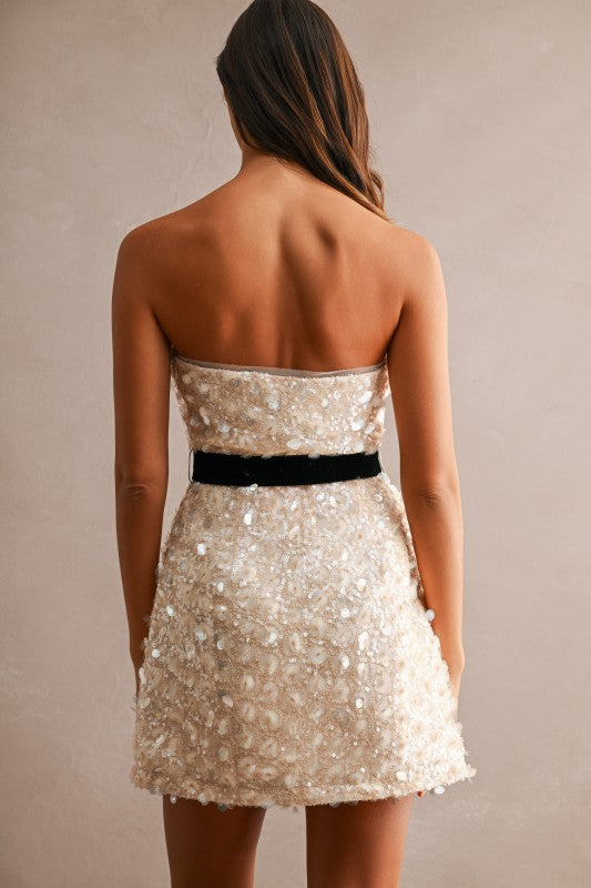 Champagne Wishes Cocktail Dress – The Pearl Pagoda