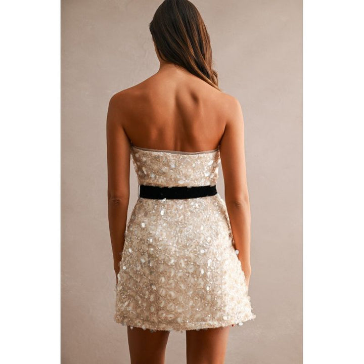Champagne Wishes Cocktail Dress