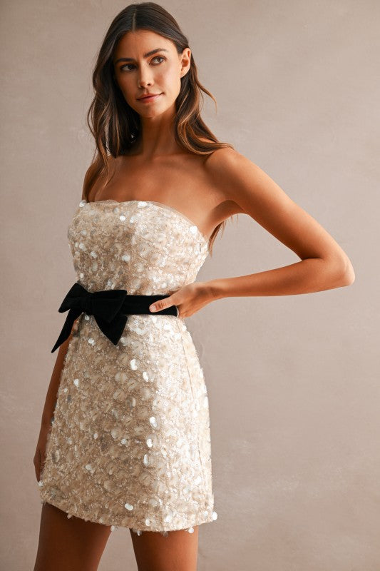 Champagne Wishes Cocktail Dress