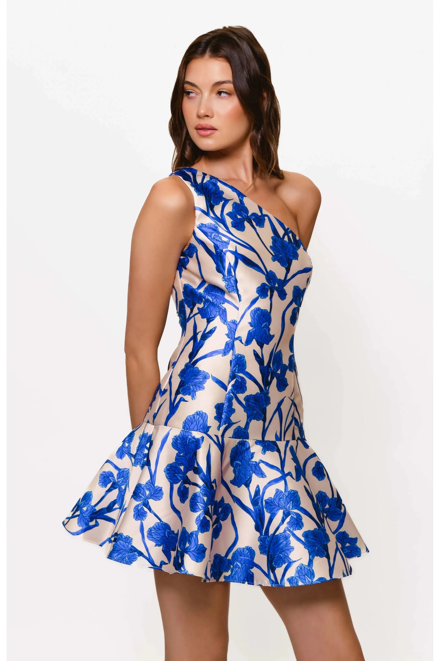 Silas Blue Orchid Print Dress