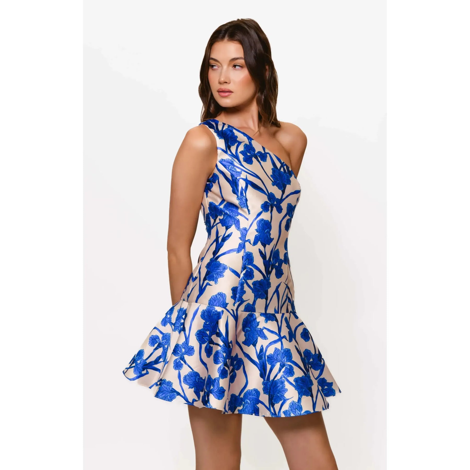 Silas Blue Orchid Print Dress