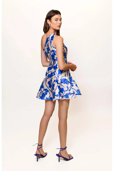 Silas Blue Orchid Print Dress