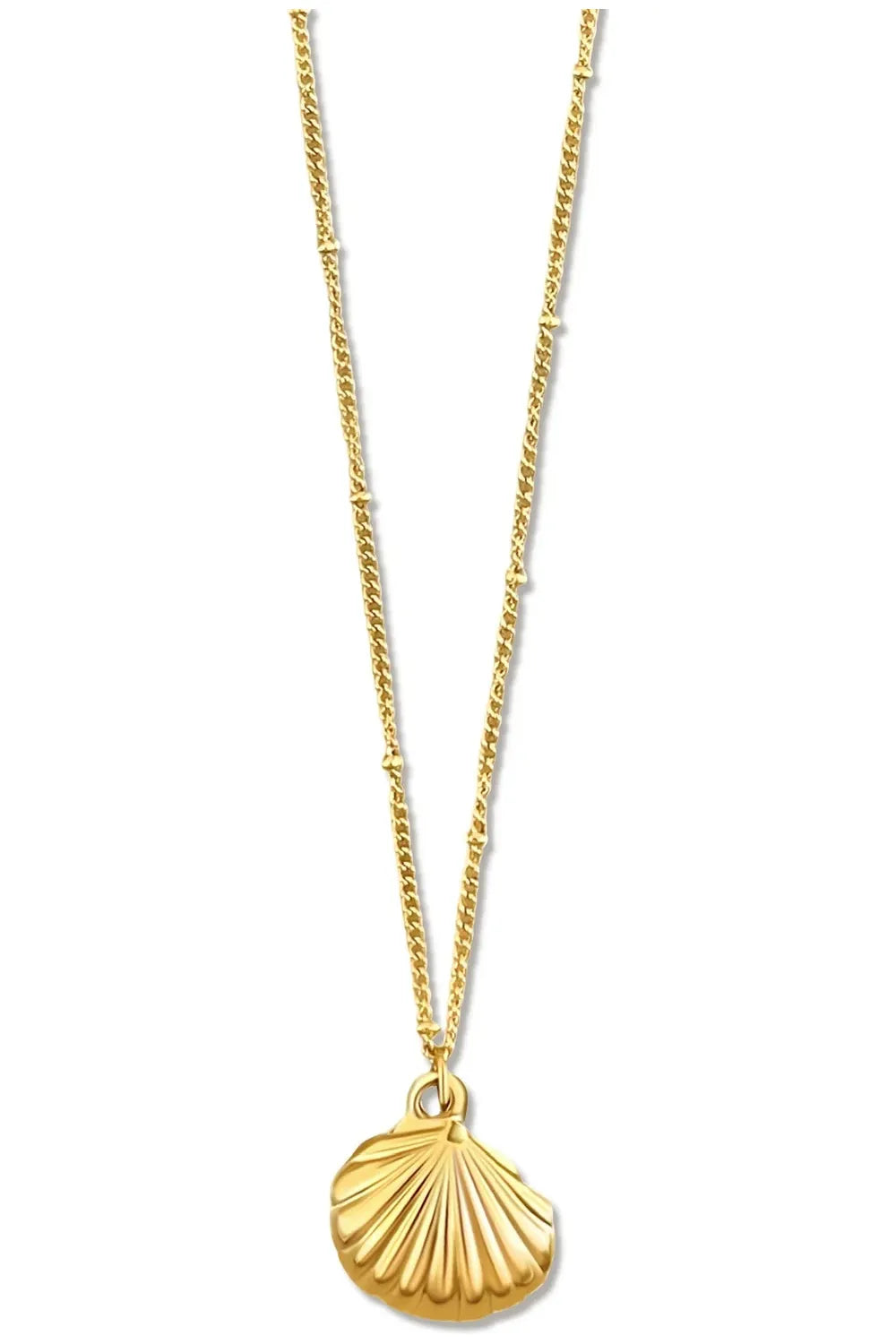 Georgina Shell Pendant Necklace