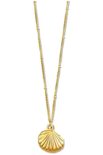 Georgina Shell Pendant Necklace