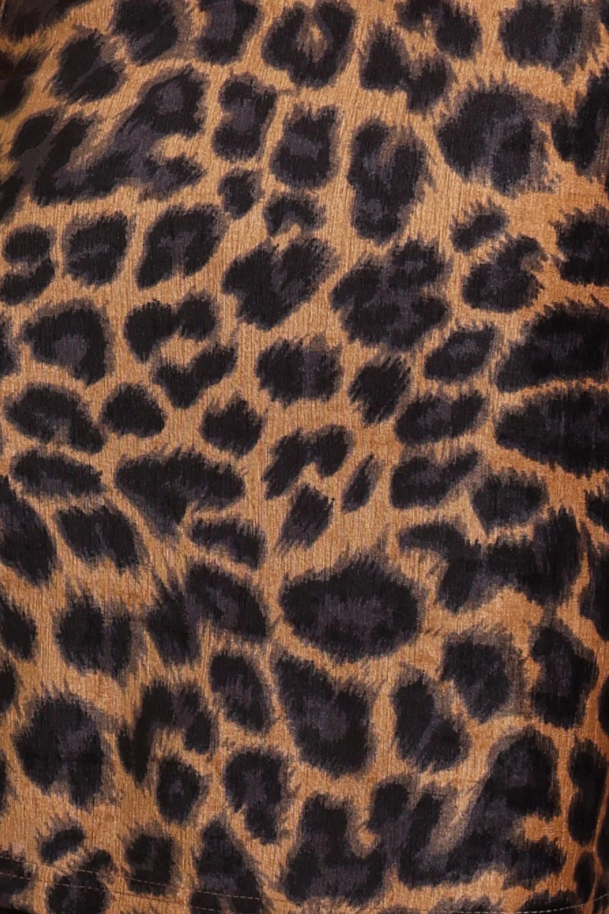 Leopard Jacket