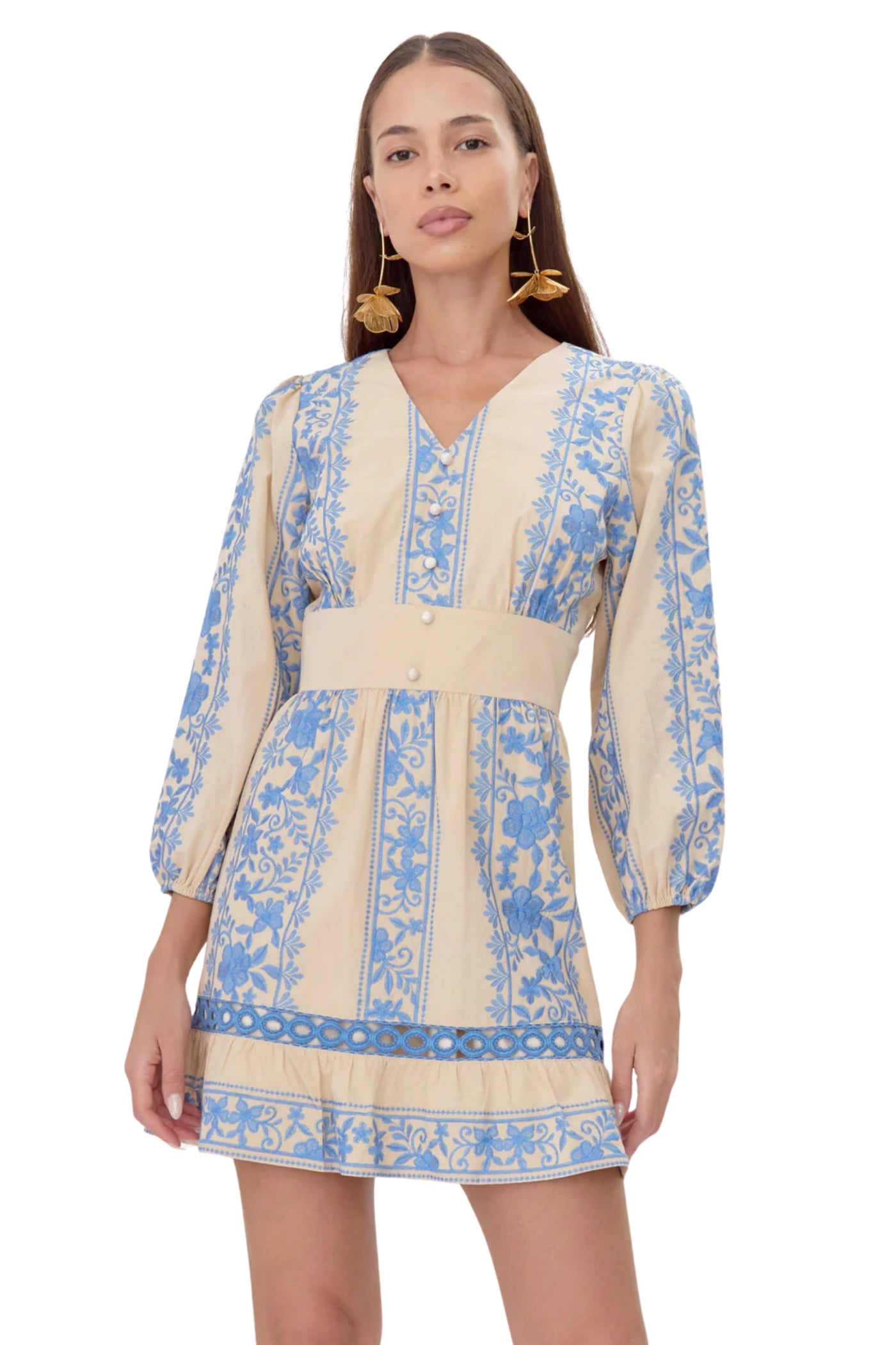 Frida Embroidered Mini Dress
