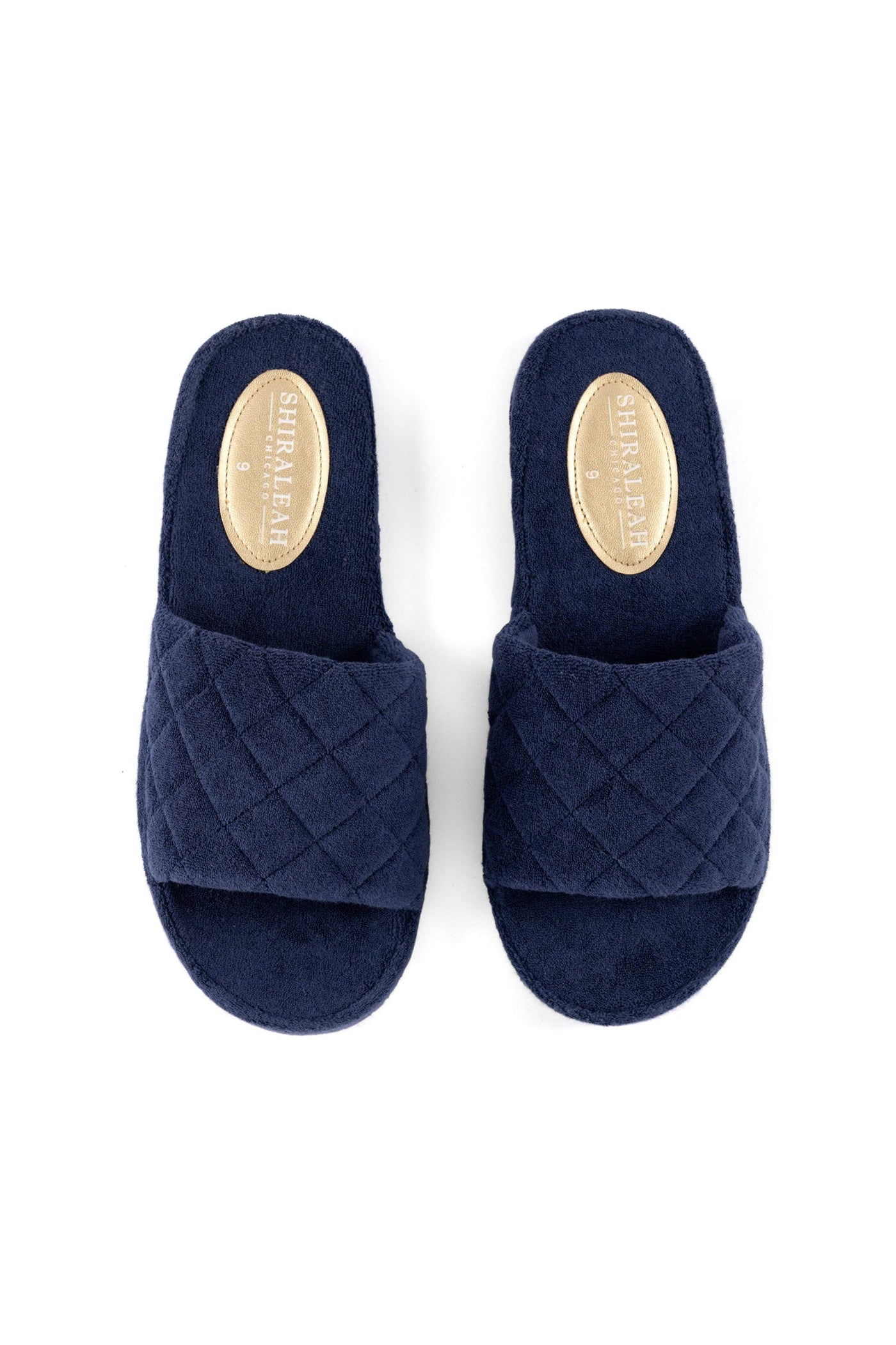 Navy Pool Slides