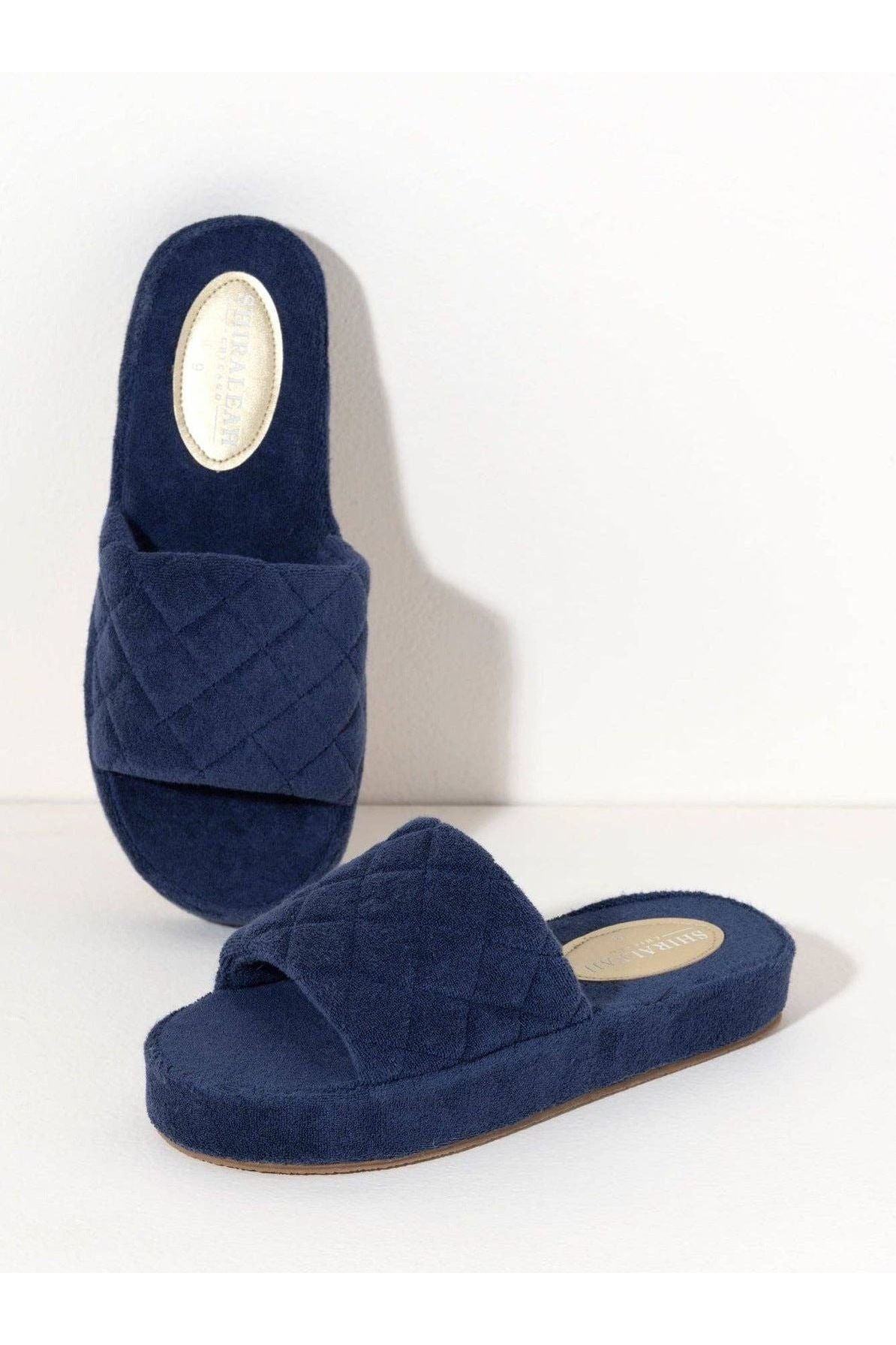 Navy Pool Slides